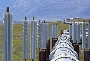 Alaska pipeline