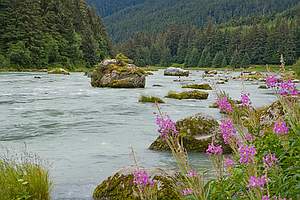 Haines, Alaska