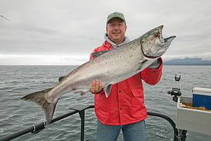 Red Salmon