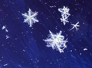 Snowflake photos