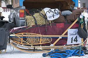 dog sled photos