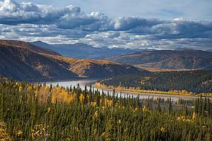 Yukon river winds through the interior