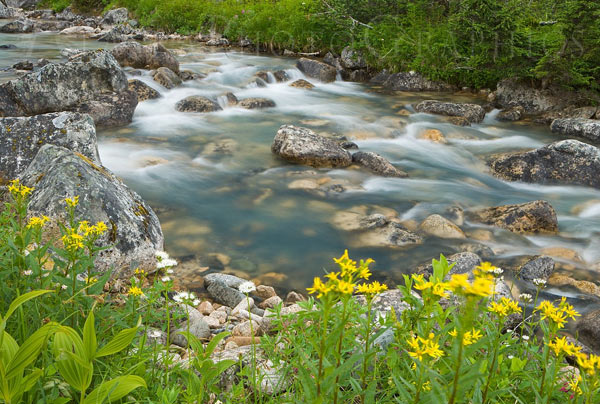 summer stream