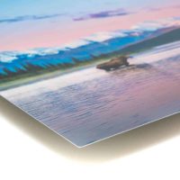 31018981 Glossy Aluminum Metal
