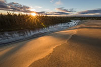 kobuk sand dunes photos