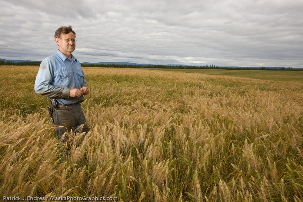 Bryce Wrigley, Barley farmer in Delta Junction, Alaska.