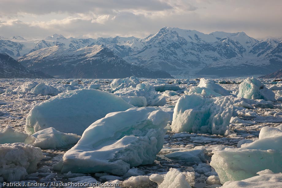 Icebergs from the Columbia glacier, Prince William Sound, Alaska. Canon 1Ds Mark III, 24-105mm f4L IS, 1/60 sec @ f13, ISO 100