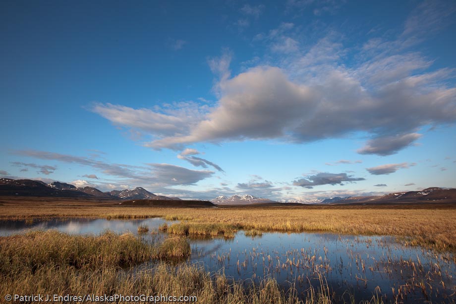 Tundra wetlands along the Nigu river, National Petroleum Reserve Alaska.