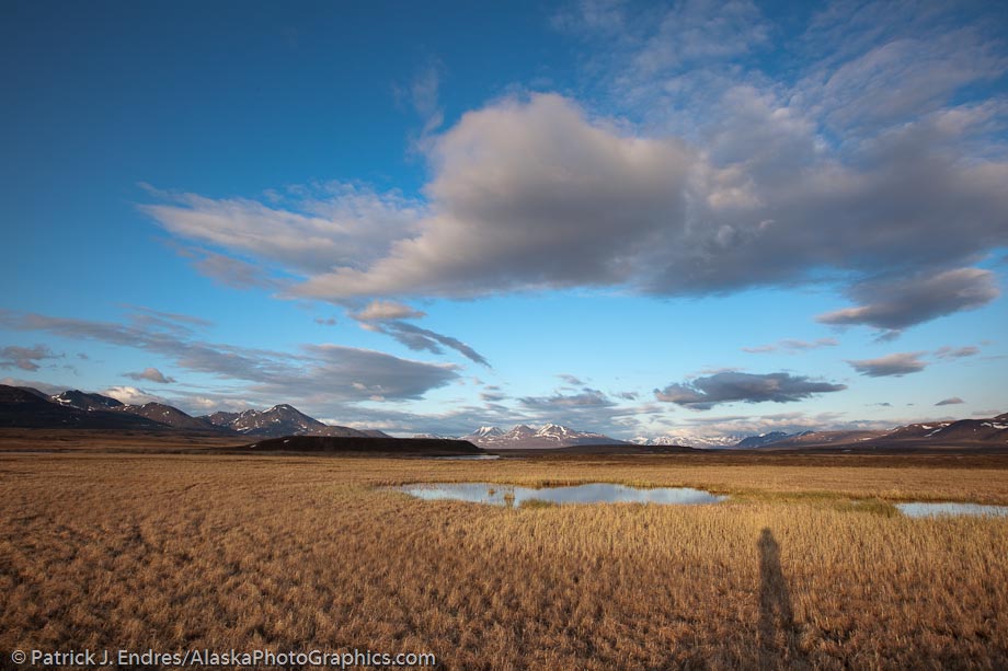 Shadows become very long under the low-angle arctic light in Alaska. Tundra wetlands along the Nigu river, National Petroleum Reserve Alaska.