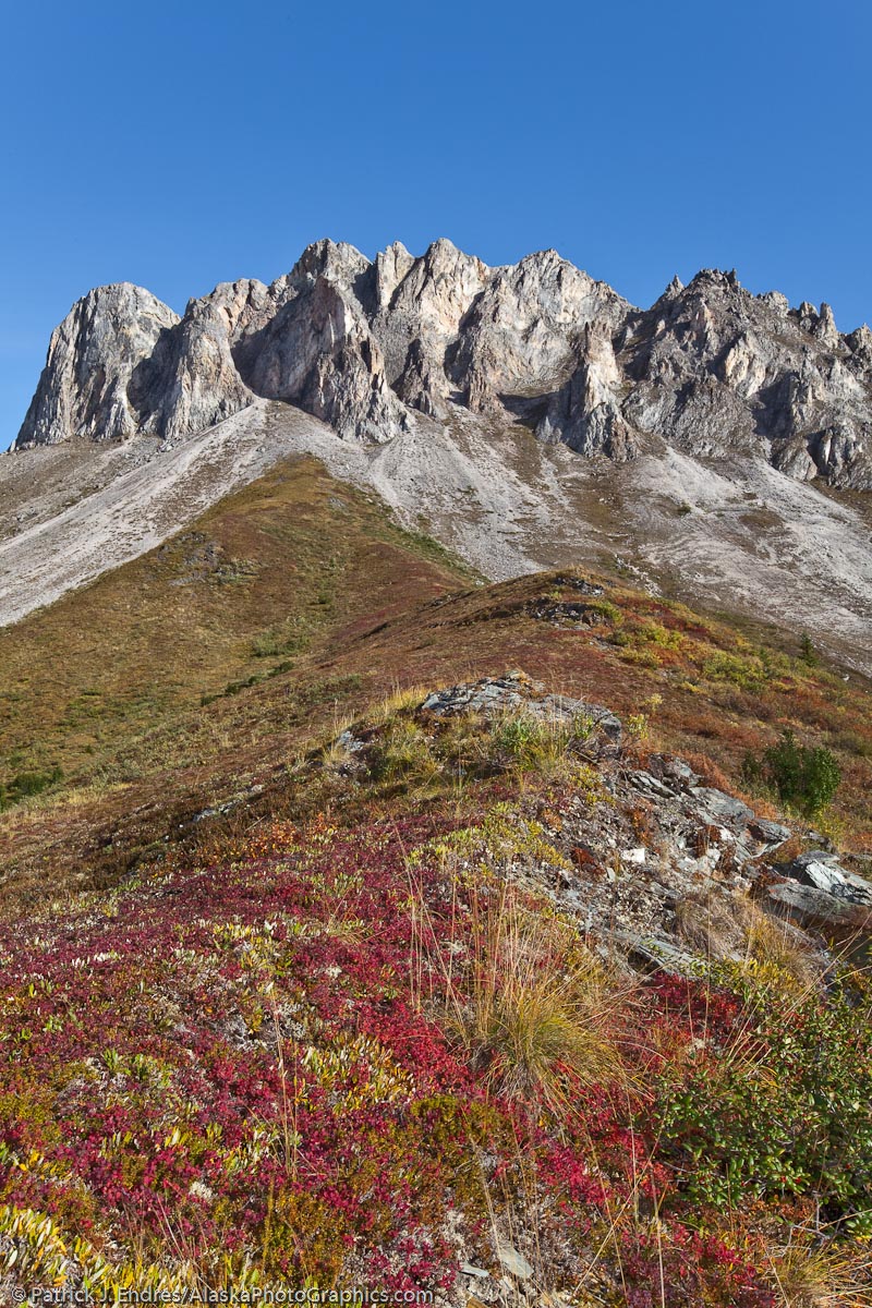Autumn tundra at the base of Snowden mountain, Brooks range mountains, arctic, Alaska.
