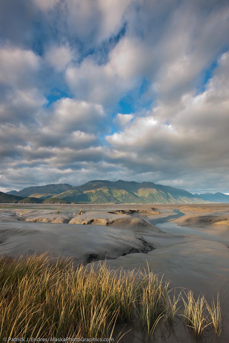 Turnagain Arm tidal mud flats and marsh grasses, Chugach mountains, Chugach National Forest, southcentral, Alaska.Canon 1Ds Mark III, 16-35mm (16mm), 1/5 sec @ f/18, ISO 50