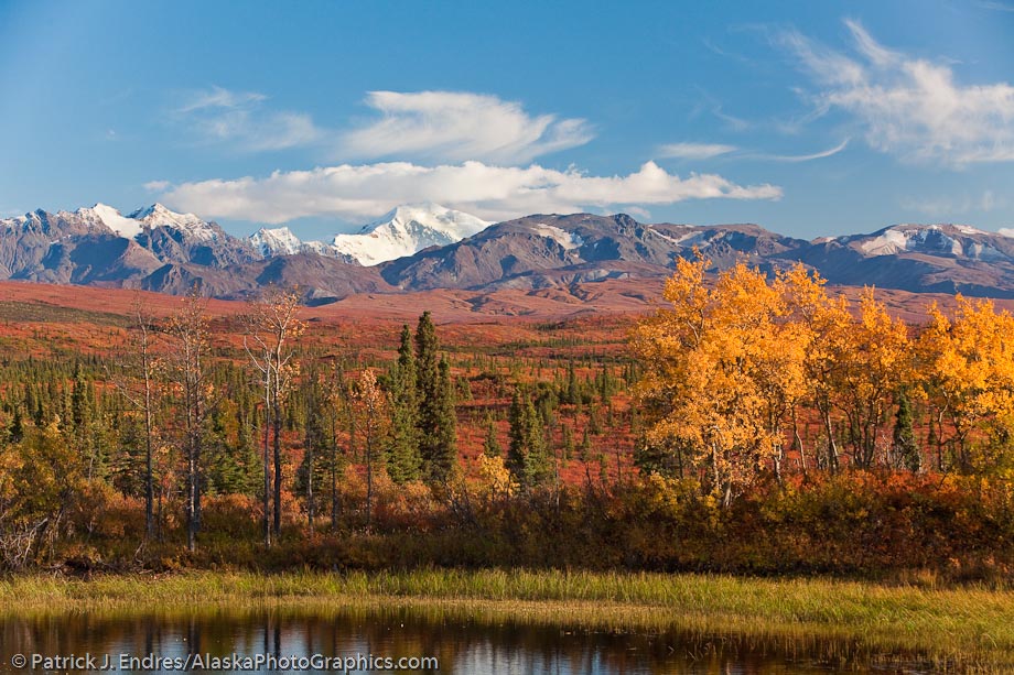 Autumn in the Alaska Range mountains of interior, Alaska.