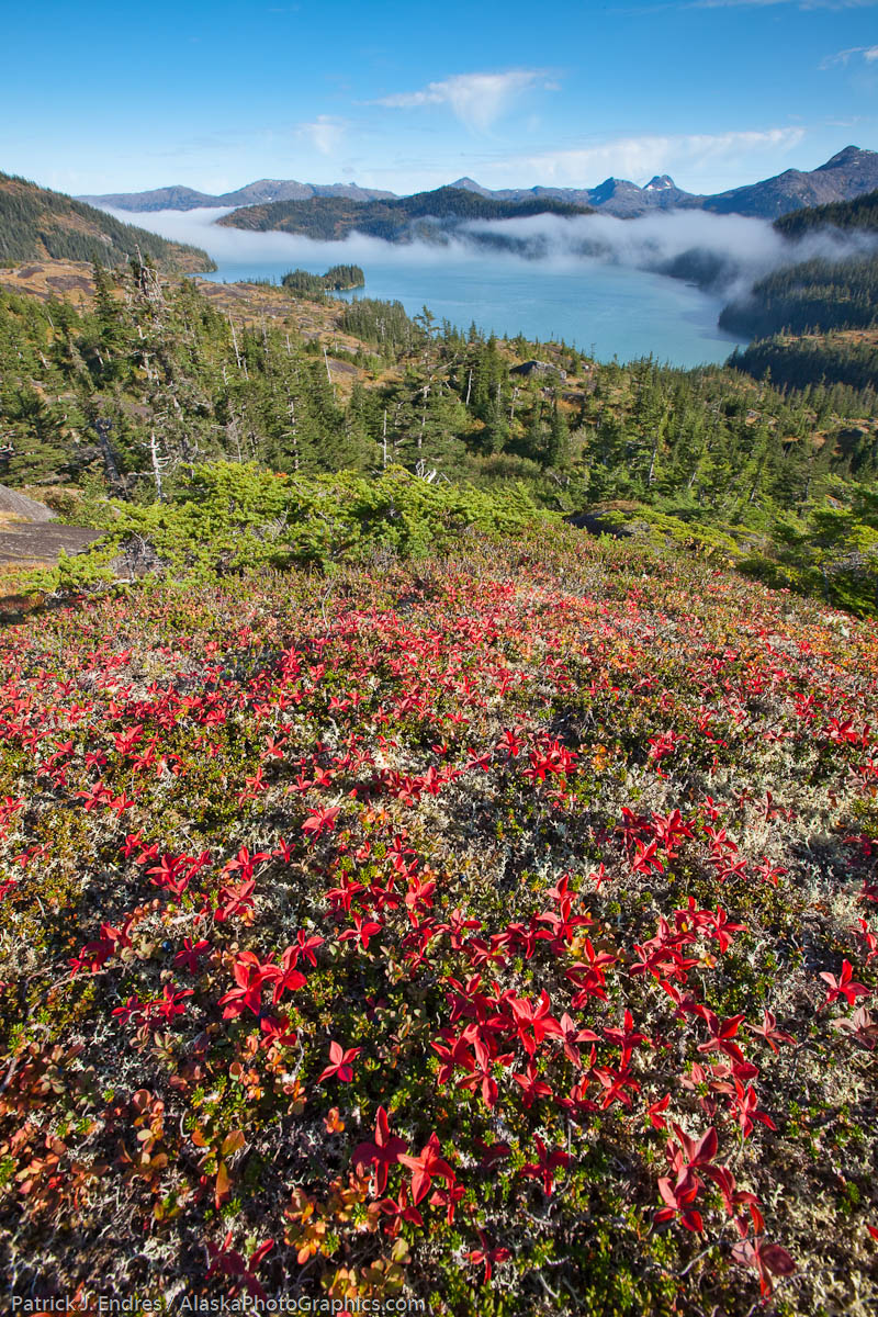 Deep Water Bay, Western Prince William Sound, Chugach National Forest, Chugach mountains, Alaska. Canon 5D Mark II, 16-35mm (16mm), 1/15 sec @ f/20, ISO 100