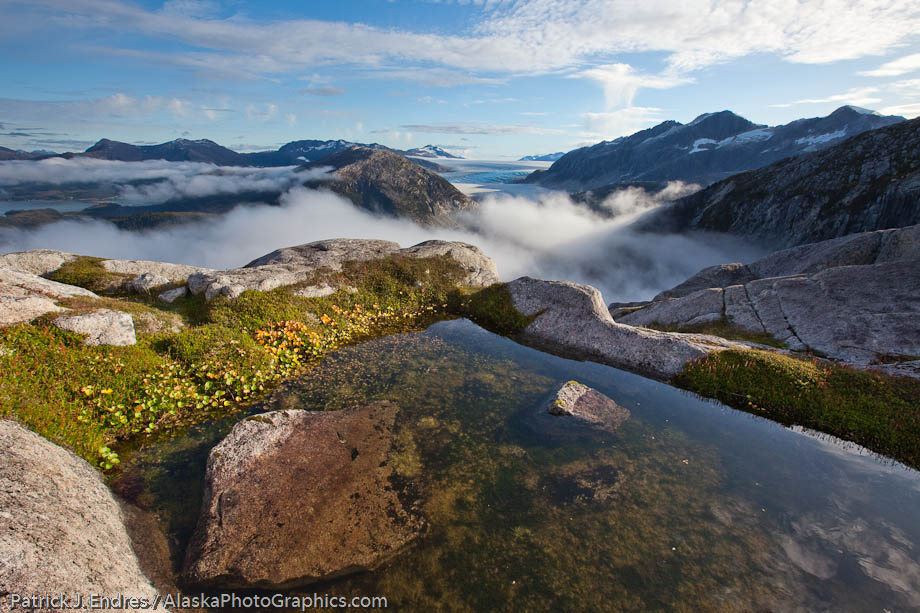 View to the south of the Sargent Ice field, Western Prince William Sound, Chugach National Forest, Chugach mountains, Alaska. Canon 5D Mark II, 16-35mm, (16mm) 1/100 sec @ f/13, ISO 200.