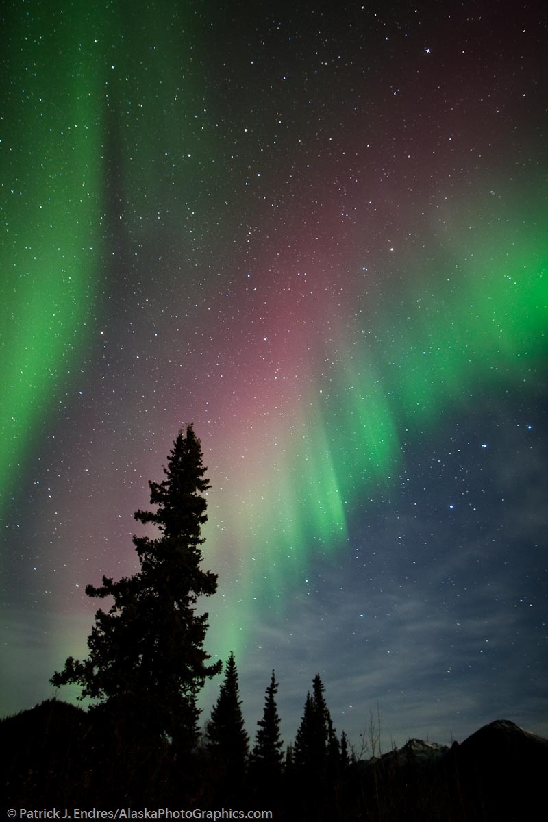Red and green aurora borealis over the spruce trees. Canon 1Ds Mark III, 24mm f/1.4, 30 secs @ f/1.4, ISO 800. Lightroom modifications: increasted contrast and clarity, reduced brightness slightly, slight vignette control, no color saturation.