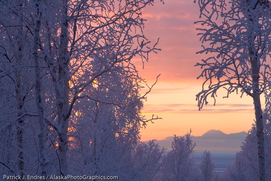 Winter sunrise over boreal forest and Alaska Mountain Range, Mount Moffit.