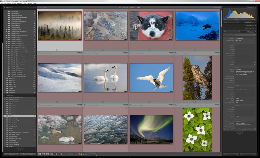 Adobe Photoshop Lightroom grid view