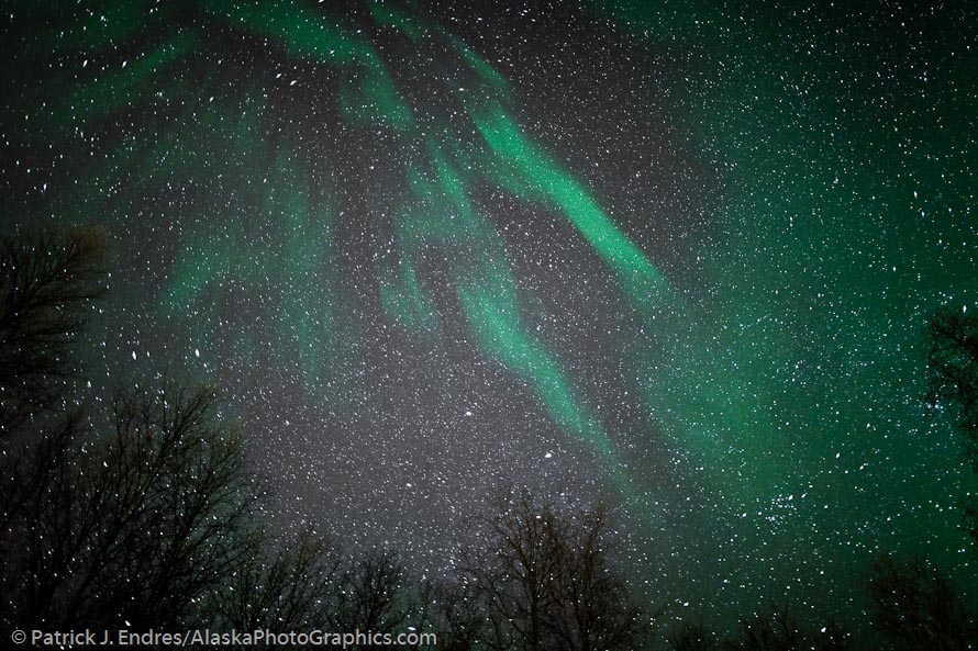 Aurora borealis, Fairbanks, Alaska. Canon 5D Mark II, 24 mm f/1.4L, ISO 1600