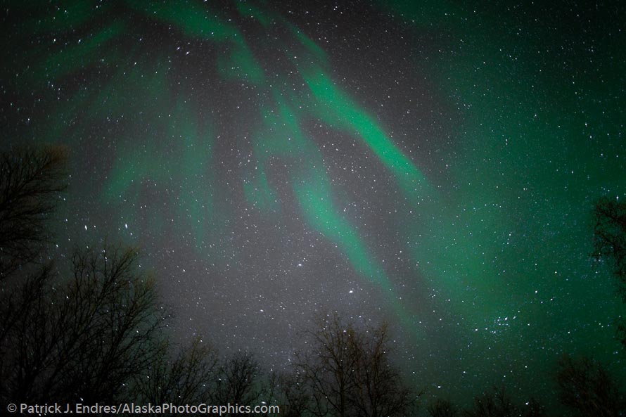 Aurora borealis, Fairbanks, Alaska. Canon 5D Mark II, 24 mm f/1.4L, ISO 1600