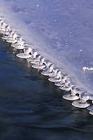 Ice forms along the Koyukuk river in the Brooks range, Alaska