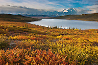 Morning light and clouds over Mt McKinley (Denali) North America's tallest mountain (20,320 ft) and Wonder Lake, Denali National Park, interior, Alaska.