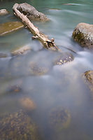 Clear water flows over stones in the Chilkoot River, Haines, Alaska
