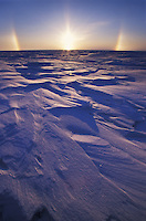 Snow Bow, near sunset, over wind blown snow on Alaska's Arctic Coastal Plains.