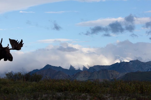 Series of four images used to make a panorama stitch in Photoshop.