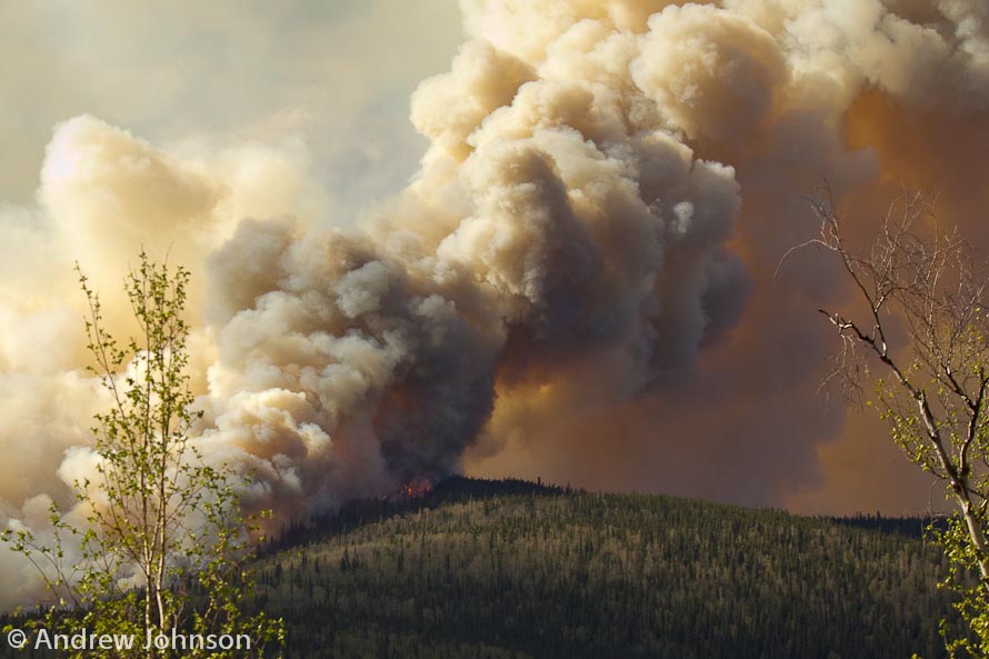 moose mountain fire