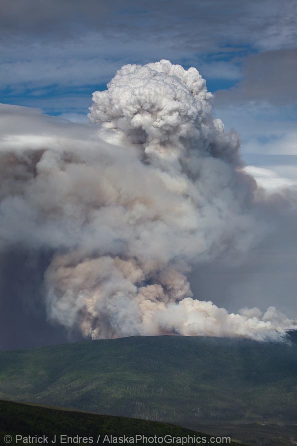 Hastings wildland forest fire