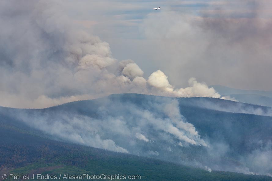 Hastings wildland forest fire