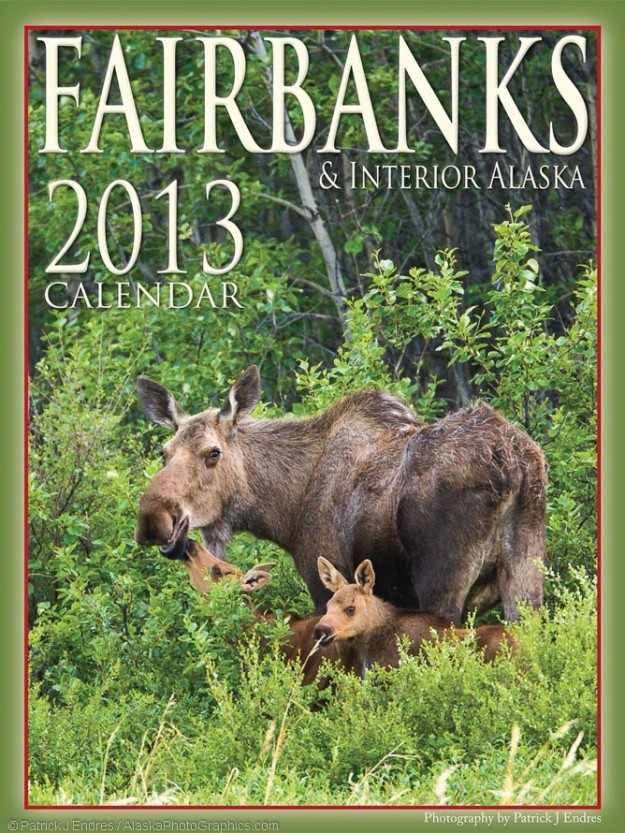 2013-cover1