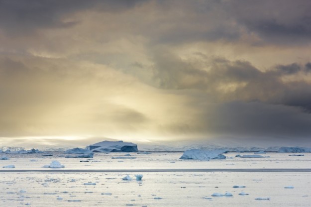 ata-22028388-890×593