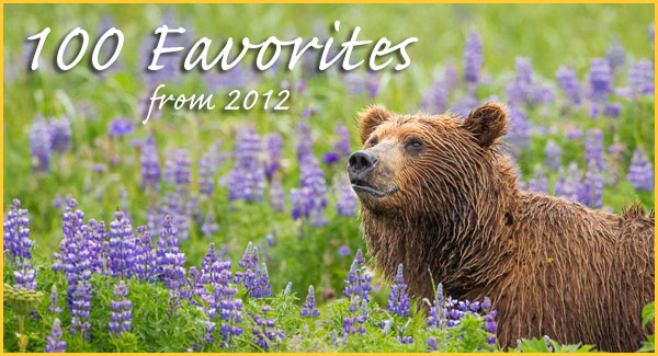 2012favorites