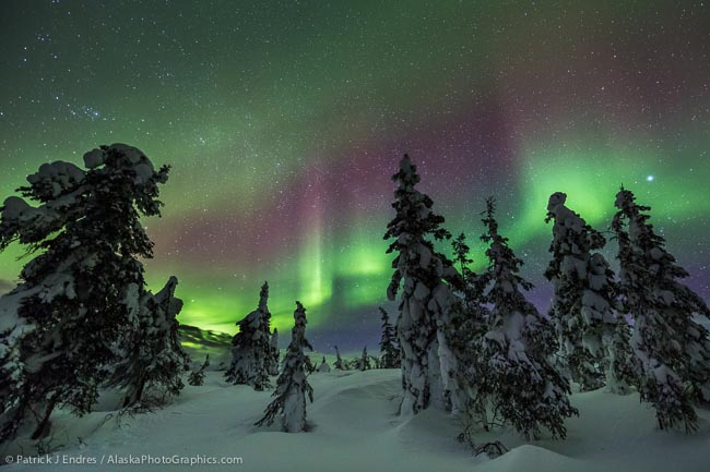 Northern Nights, Starry Skies