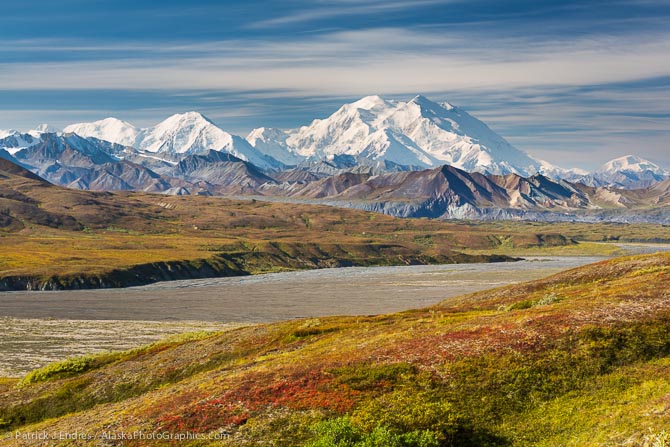 Red bearberry covers the tundra, Mt McKinley and the Alaska range mountains border the McKinley river bar, Denali National Park, Alaska.