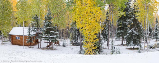 First snowfall on Moose Mountain.