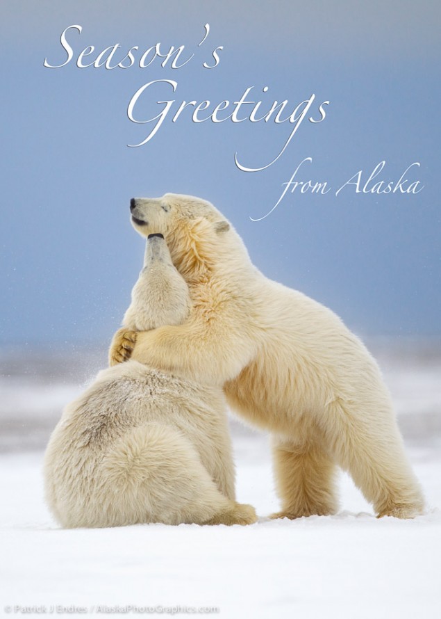 16024611-2greeting-card