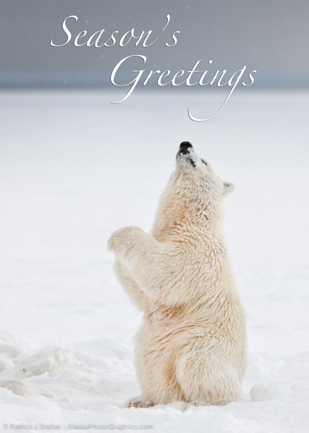 22042764greeting-card