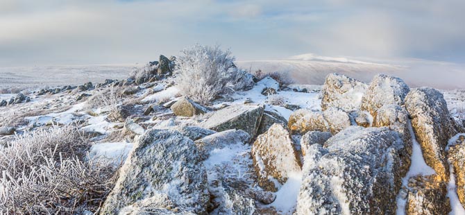 Hoar frost on Finger Mountain. Canon 5D Mark III, 24-105mm f/4L IS, 1/100 sec @ f/16, ISO 400