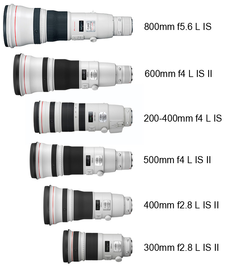 Canon_super_tele_comparison