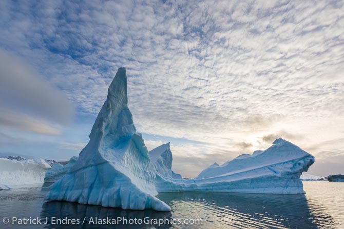 Floating icebergs in Port Charcot, Antarctica. Canon 5D Mark III, 16-35mm f/2.8L, 1/500 sec @ f/10, ISO 200.