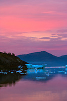 Pink sunrise over floating icebergs in Barry Arm, Prince William Sound, Alaska.