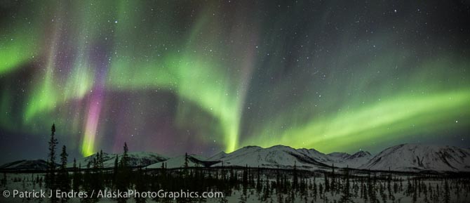 Panorama stitch of the aurora. Canon 5D Mark III, 8 sec @ f/1.4, 24mm f/1.4 Rokinon, ISO 1600. # images stitched in photoshop.