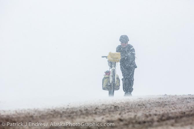 Bicycle rider in Atigun Pass during a snowstorm. June 12, 2014.