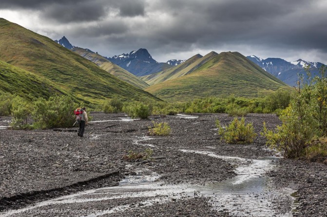 Hiking the Savage river in Denali National Park, Alaska.