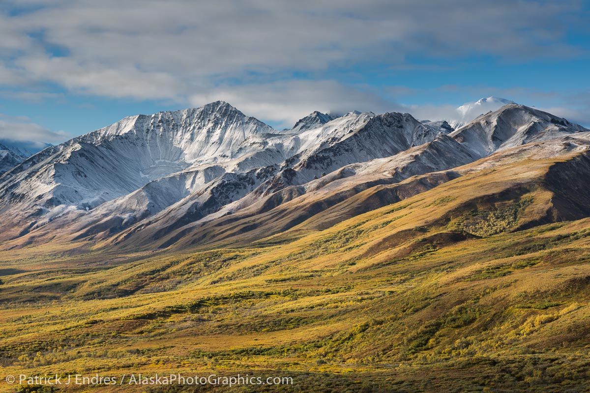 Termination dust in the mountains near Sable Pass. Canon 5D Mark III, 24-105mm f/4L IS, 1/80 sec @ f/11, ISO 100