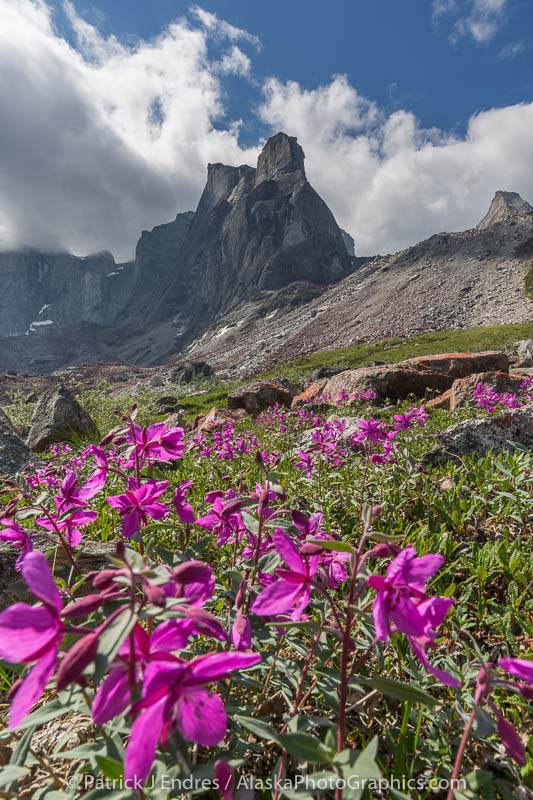 Arrigetch Peaks, Gates of the Arctic National Park, Alaska