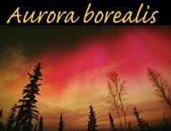 aurora borealis photos