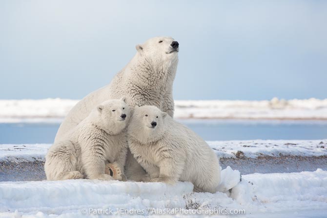 Arctic coast, Alaska.